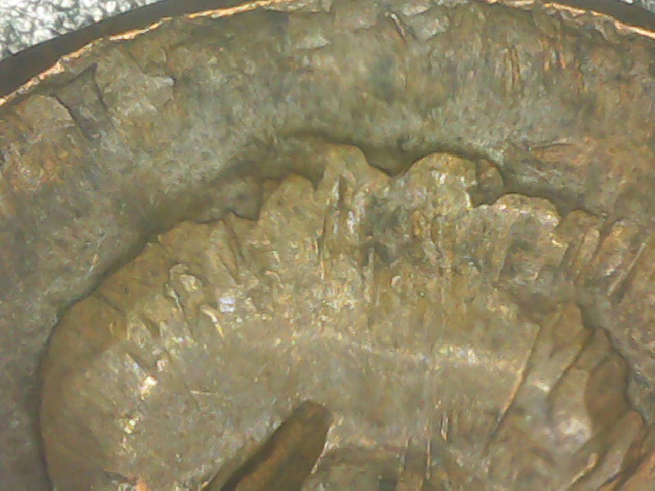 1954-Wheat-Penny-Error?